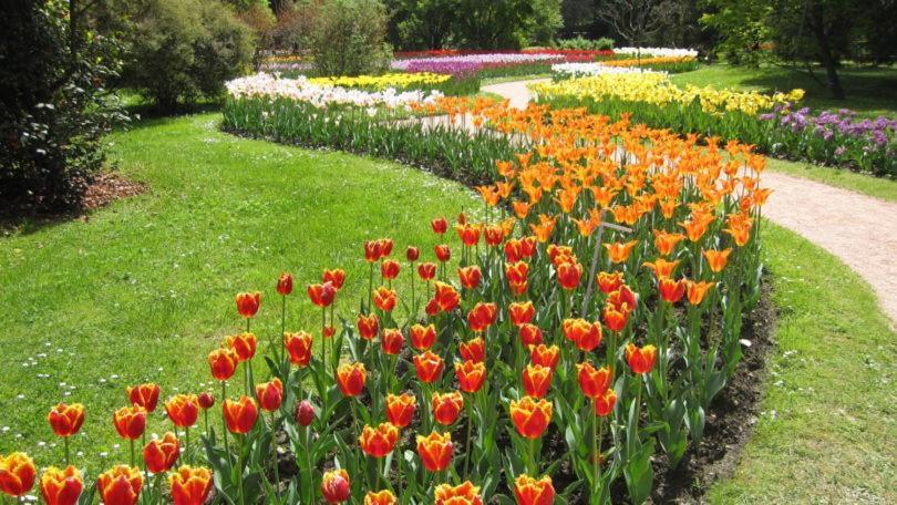 Villetta Primavera فيربانيا المظهر الخارجي الصورة